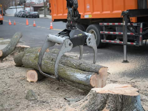 Debris Hauling